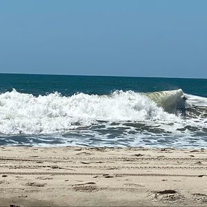 Meet your Posher, Holly